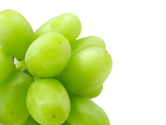 grape(hamed564) - انگور (‌Grape) - متا